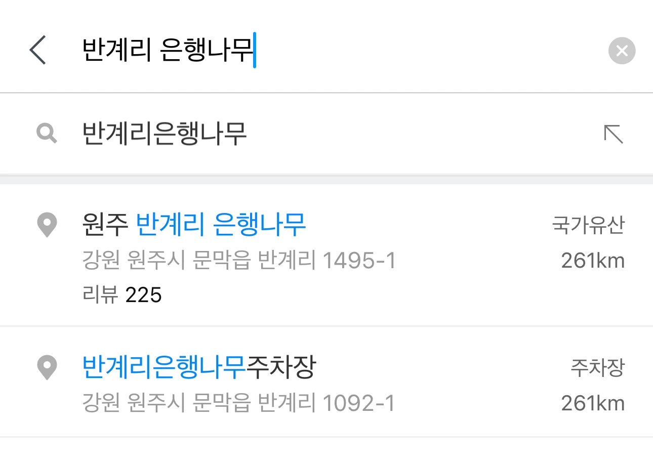 네이버-지도-앱-반계리-은행나무-검색