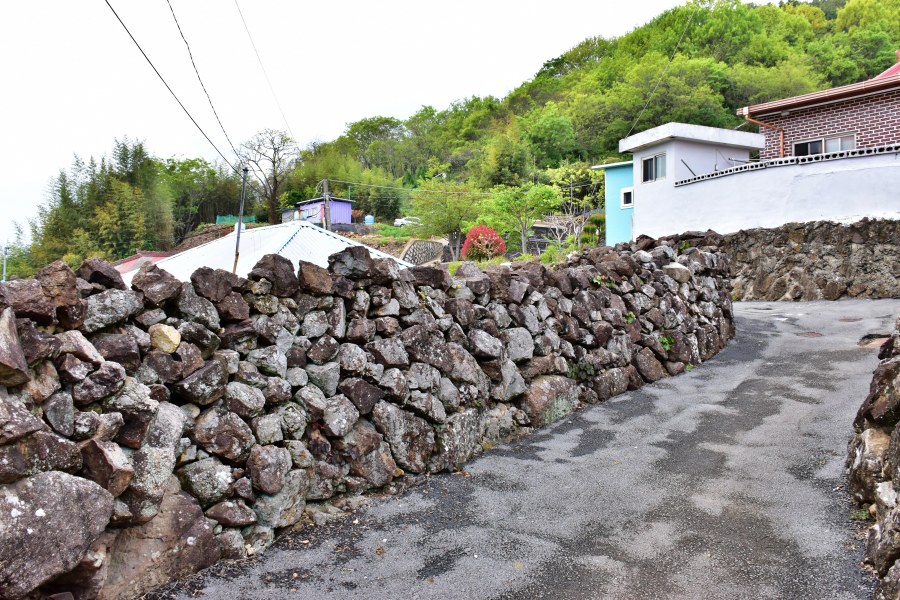 난포항 마을 돌담 풍경