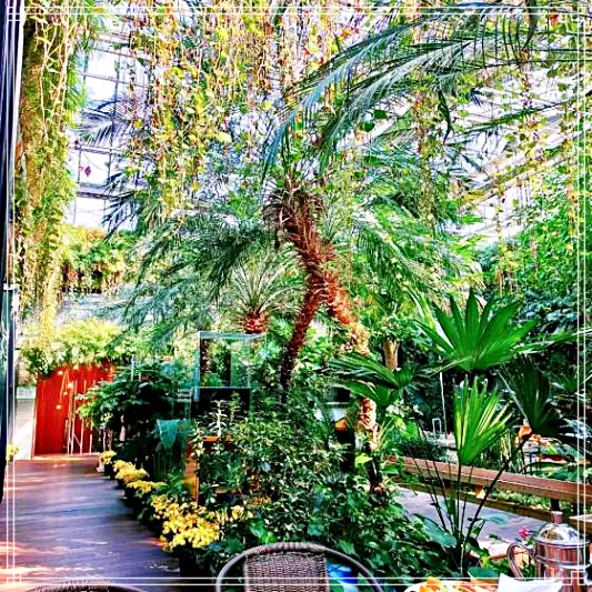 생방송오늘저녁-양평-채소뷔페-찜질방