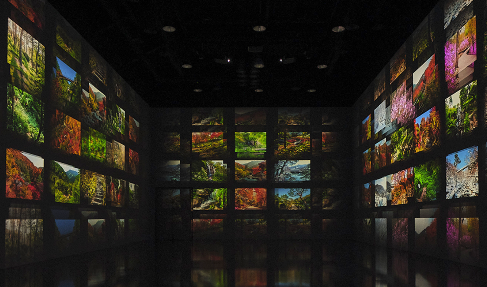 화담숲예약방법2