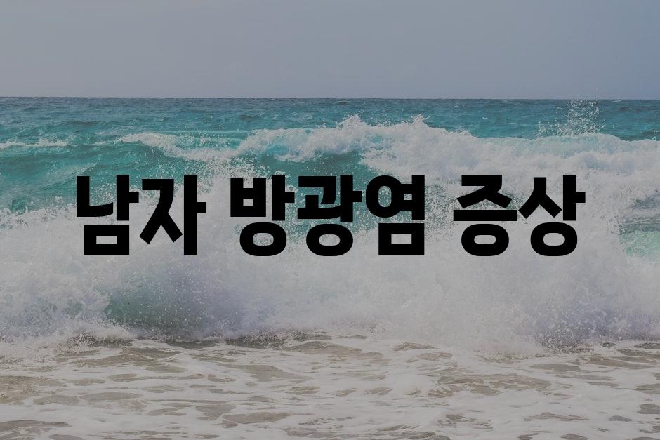 샘플 (89)