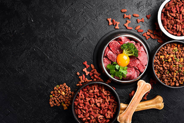 pet food ingredient closeup