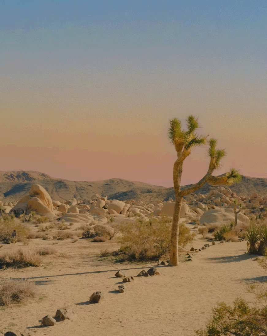 알렉스 키토(Alex Kittoe) 사진전