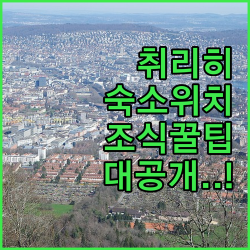 직접 확인한 취리히 여행 숙소 위치별..