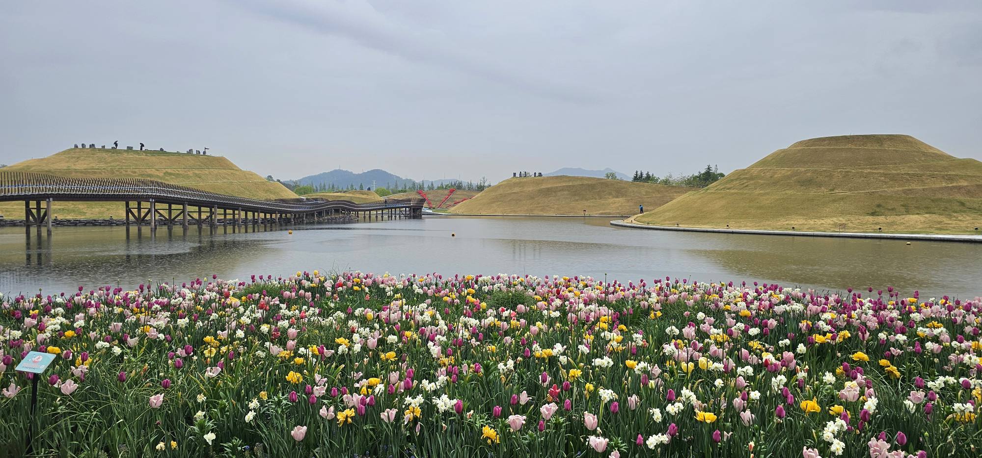 순천만국가정원 봄 28만 평 봄꽃 명소