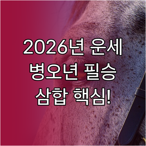 2026년 붉은 말의 해 병오년 운세..
