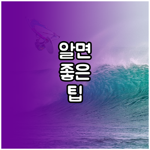 유튜브 채널 빠르게 키우기: 알고리즘..