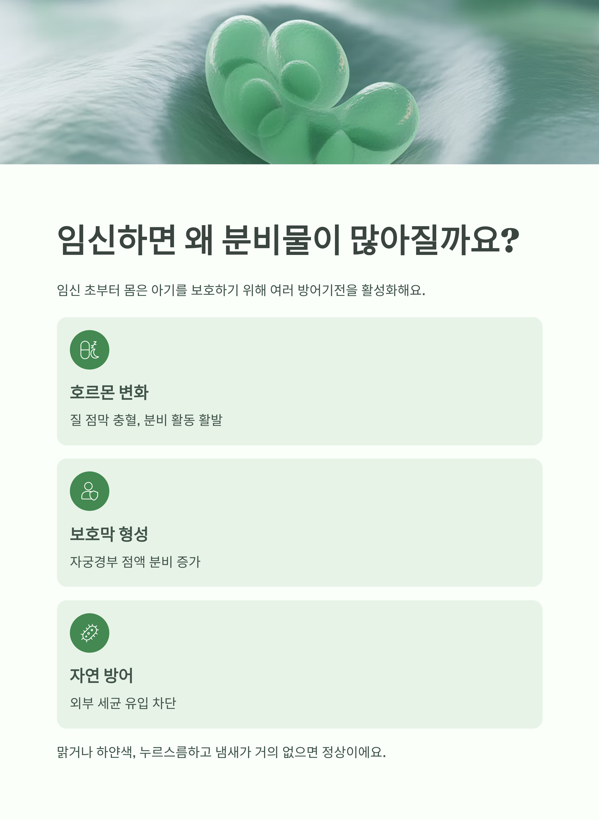 세포 형태의 질 보호막을 표현한 이미지와 함께, 임신 중 분비물이 많아지는 원인(호르몬 변화, 보호막 형성, 자연 방어)을 설명한 인포그래픽 이미지