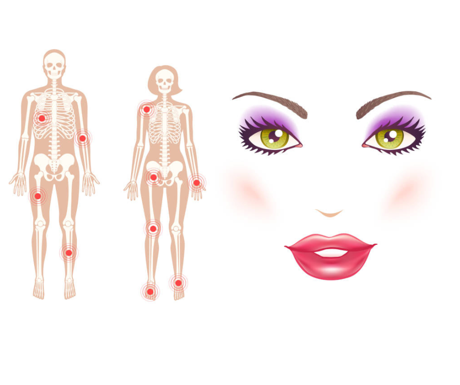 어성초 효능 항염증 및 피부 건강