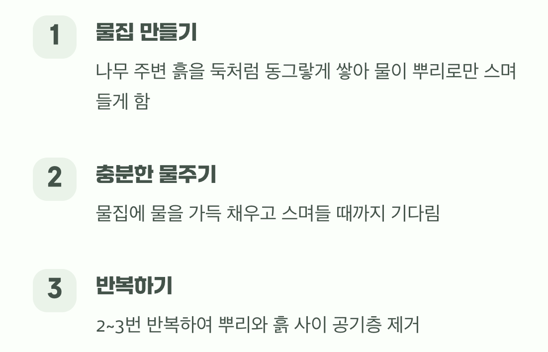 생명의 첫 숨, 물집 지어 물주기