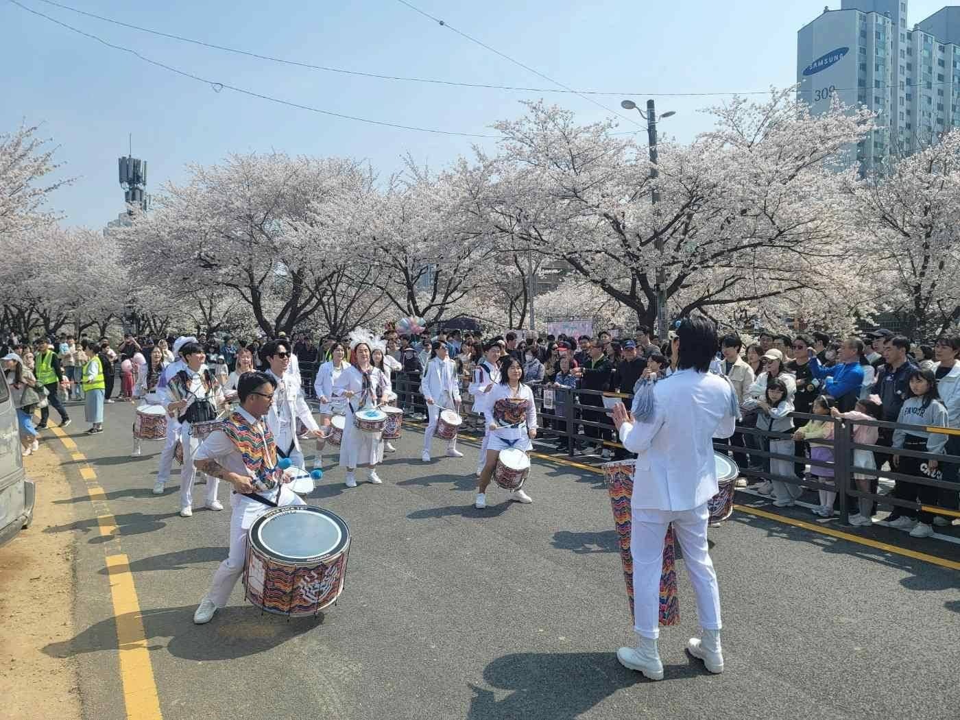 김포 벛꽃축제