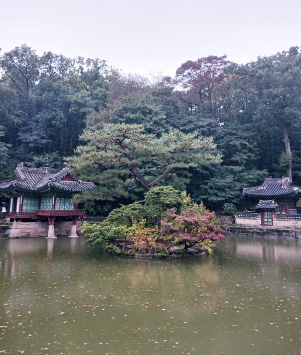 후원 부용지