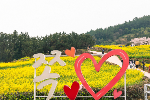 청산도 배시간표