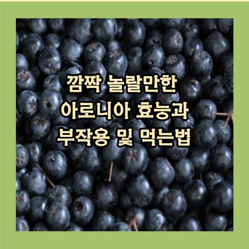 아로니아 효능