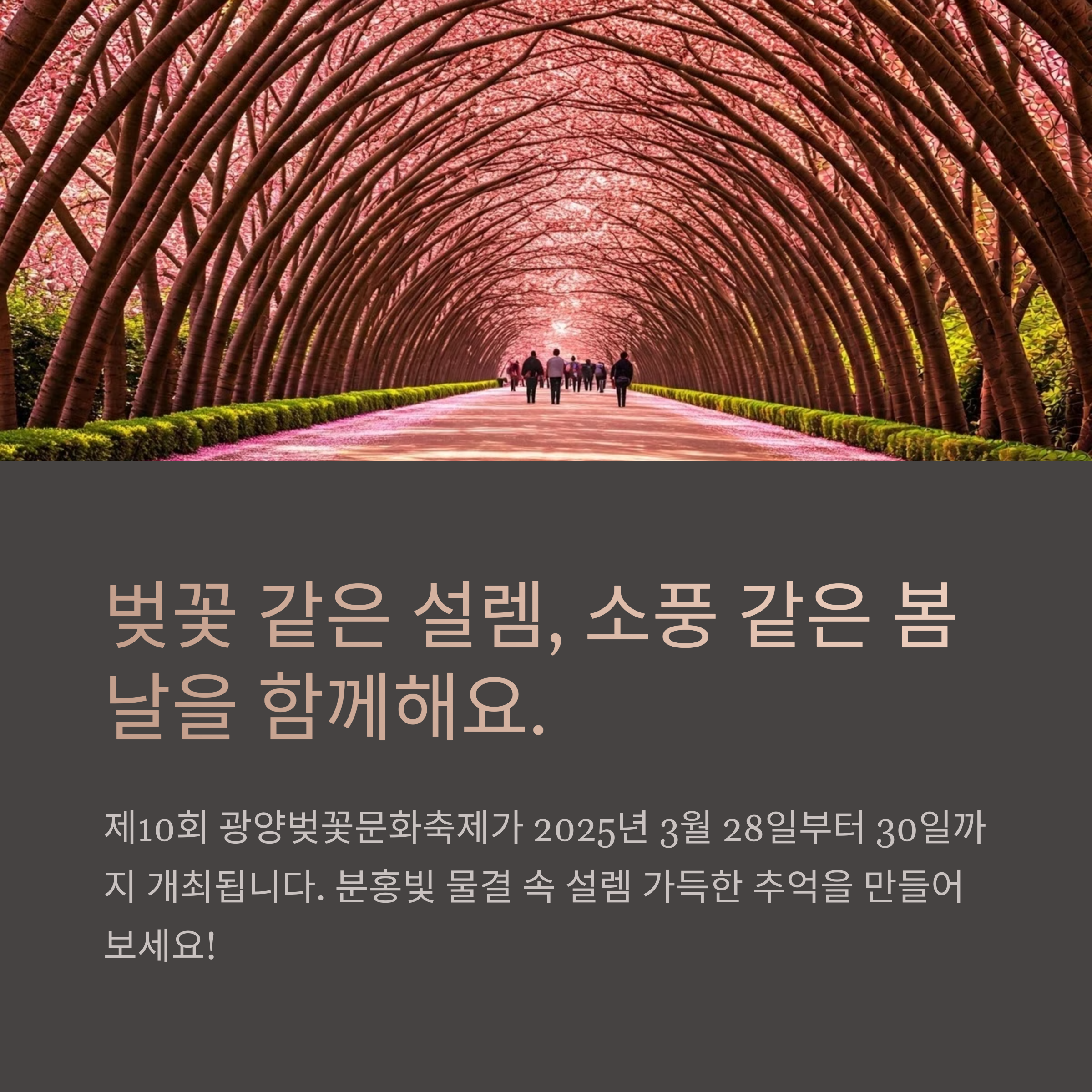 제10회 광양벚꽃문화축제