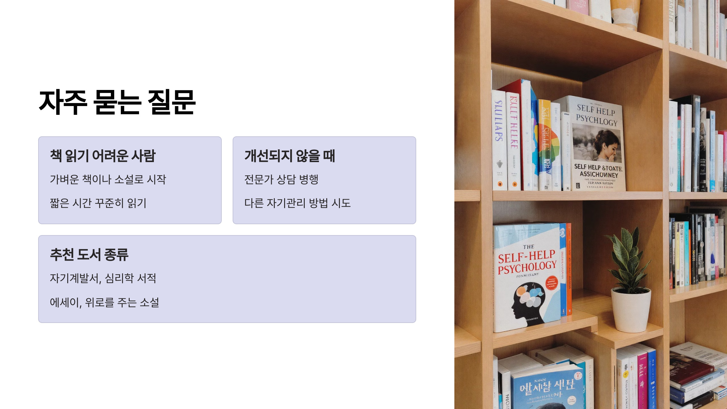 자주 묻는 질문