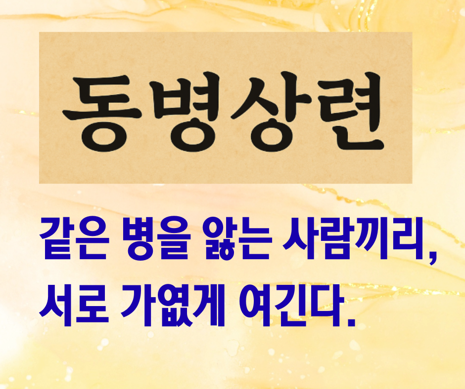 동병상련 뜻 유래, 우리말을 전하며 실제 사회 생활, 직장, 가정, 관계에서 겪을 스트레스 관리 현실팁과 심리 조언을 표현합니다.