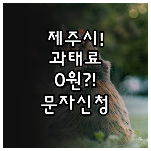 제주시 주정차 과태료 예방을 위한 단..