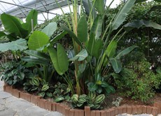 용인 아이와 가볼만한 곳 동천자연식물원