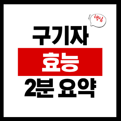 구기자 효능