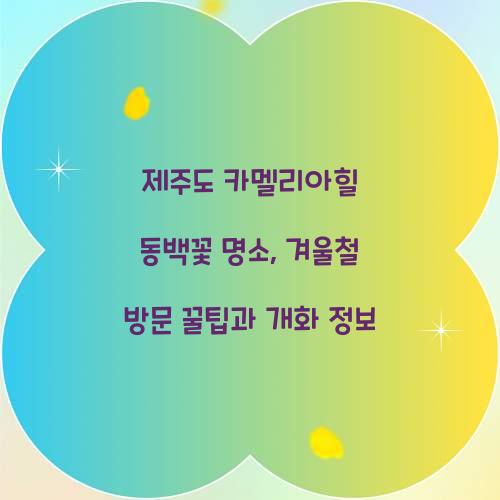 제주도 카멜리아힐 동백꽃 명소