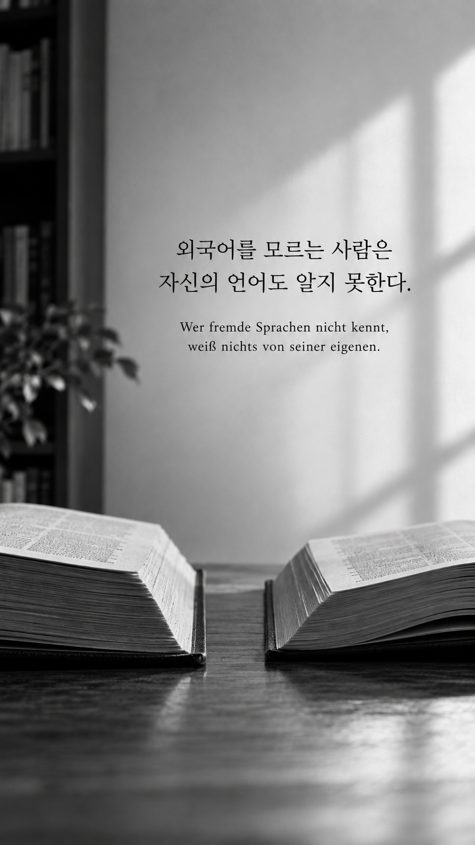 독일어 명언 8 괴테 외국어를 모르는 사람은 자신의 언어도 알지 못한다. — 책상에 펼친 두 권의 사전