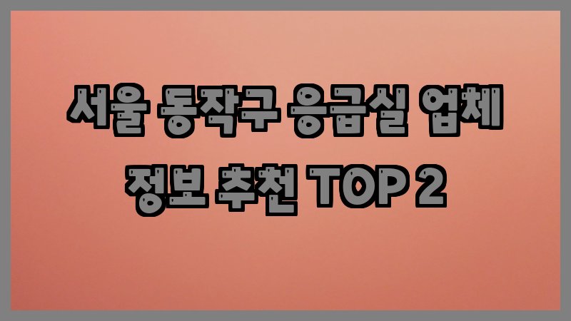 서울 동작구 응급실