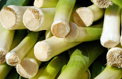 가을에 심는 작물