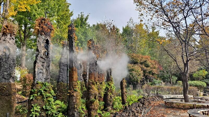 화성_우리꽃식물원_국화전시회