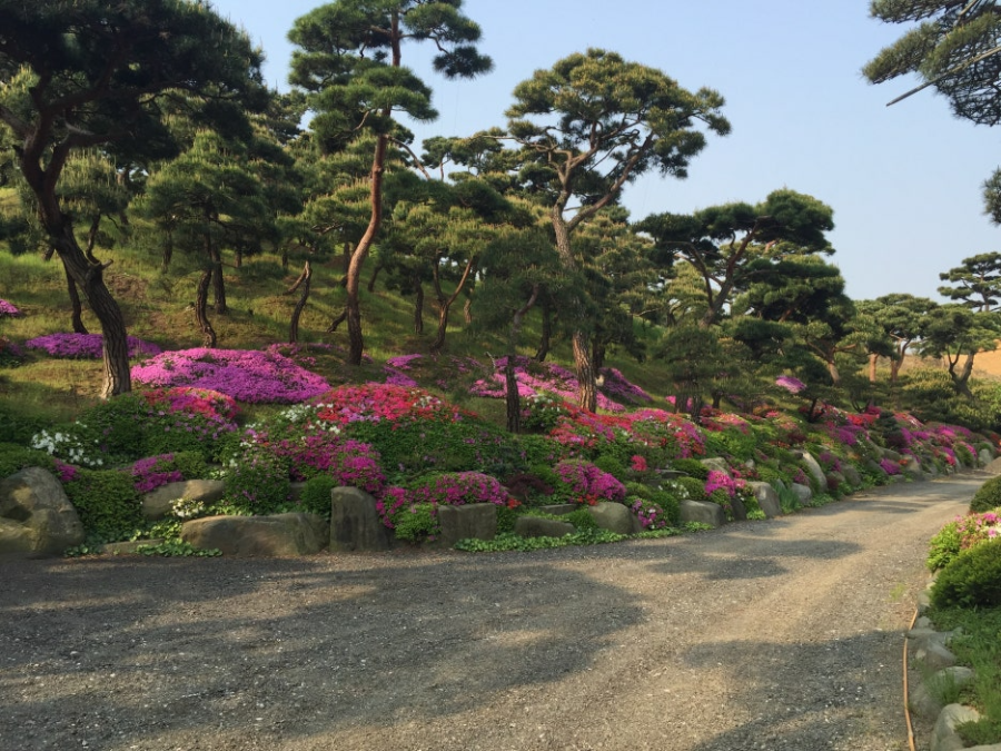특색있고 아름다운 민간 정원 30선 추천 여행 - 07. 청주 공간정원