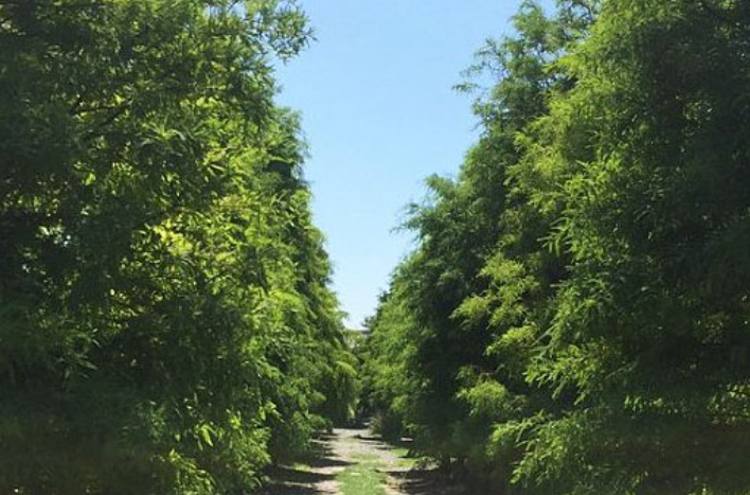 태안 청산수목원