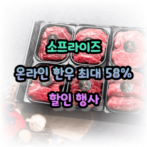 2024 소프라이즈 온라인 한우장터 바로가기(최대 58% 할인)