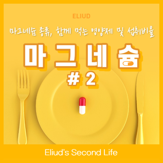 마그네슘 종류와 함께섭취해야할 영양제 및 섭취 비율