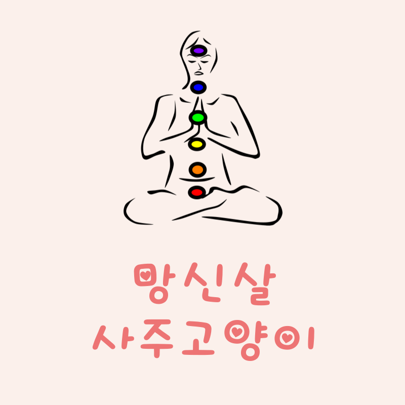망신살이란