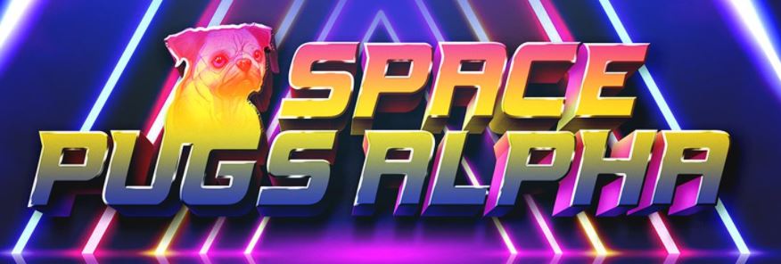 스페이스 푸그 알파