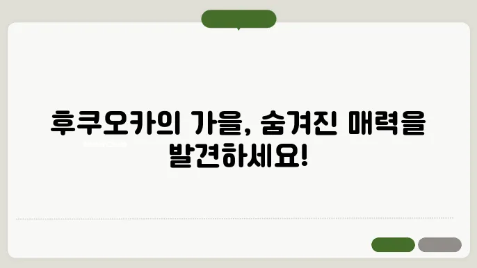 후쿠오카 11월 날씨