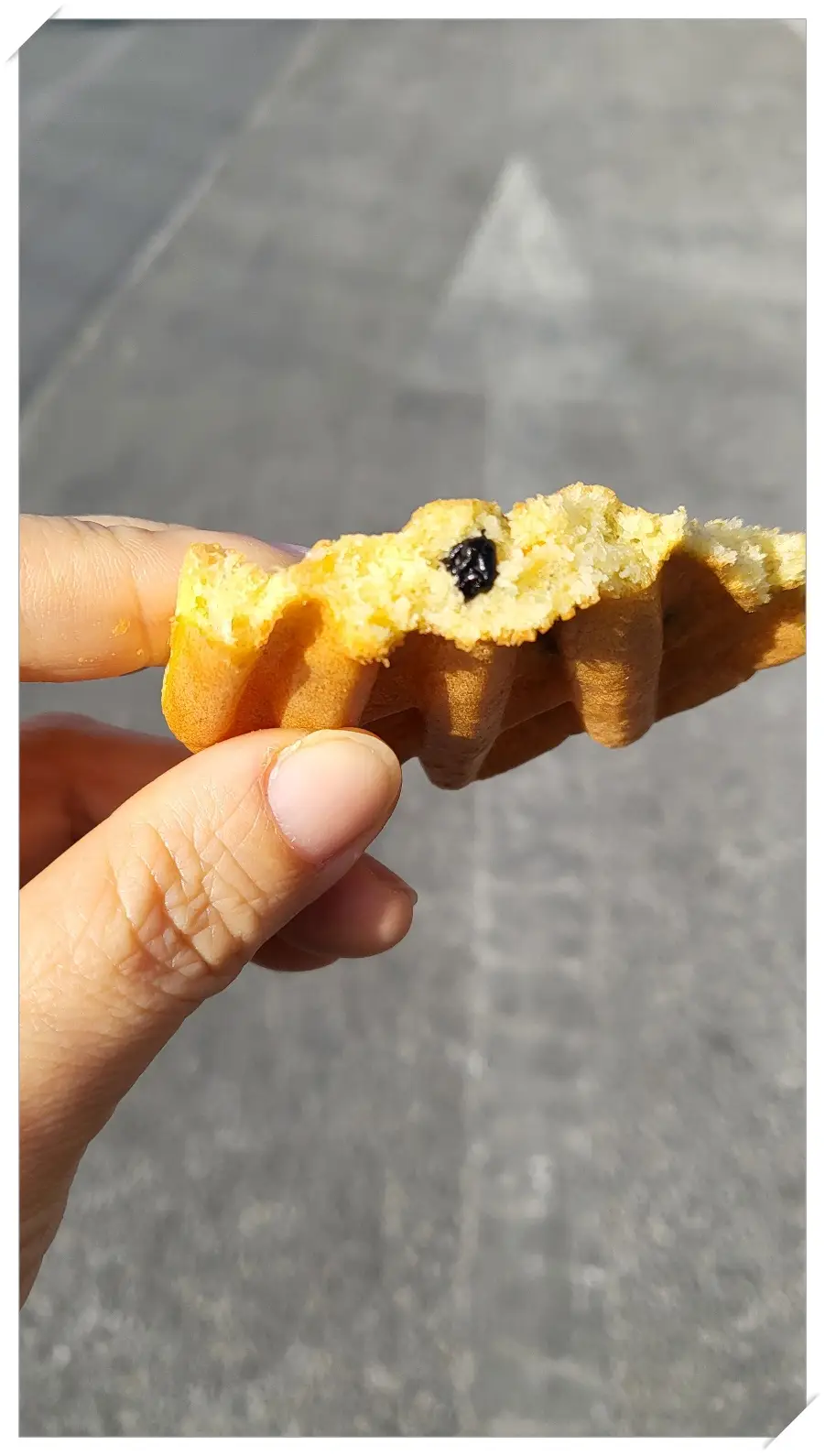 대게빵-팥소-빵속-블루베리박힌 모습