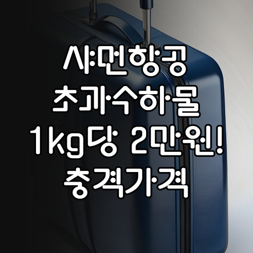 샤먼항공 위탁수하물 초과시 1kg당 ..