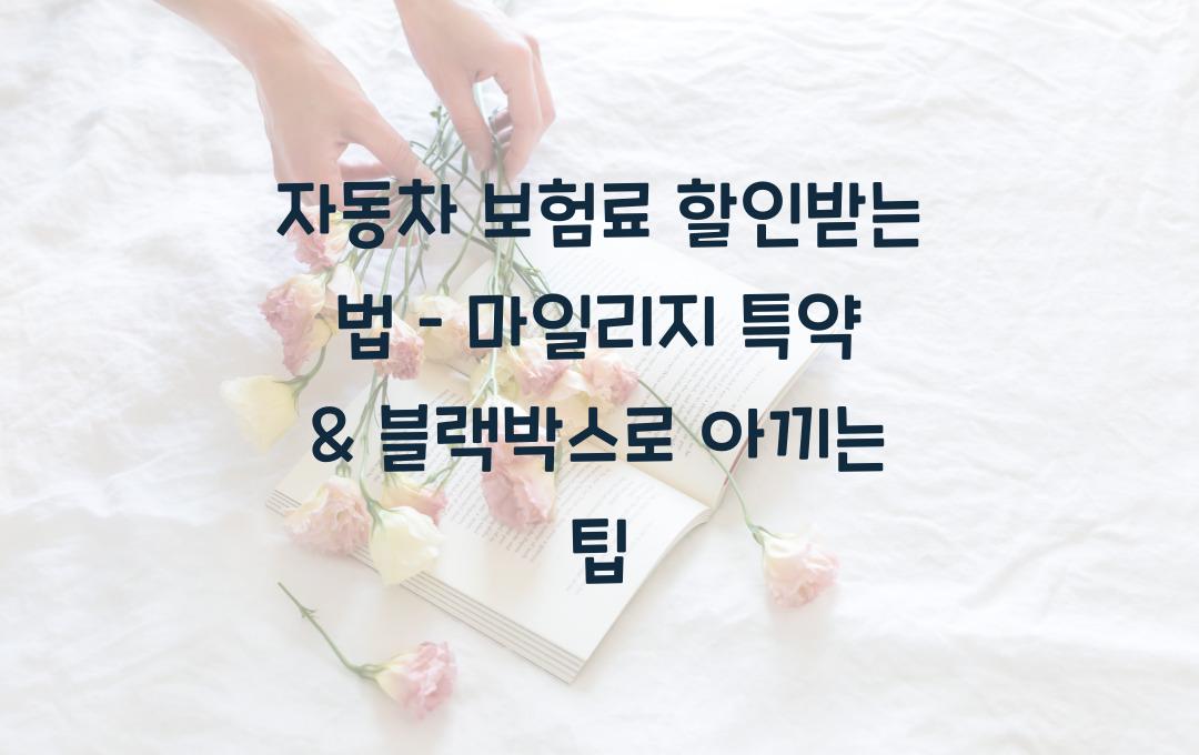 자동차 보험료 할인받는 법 (마일리지 특약 & 블랙박스 활용법)