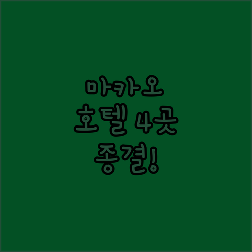 마카오 코타이 럭셔리 호텔 4곳 완벽..