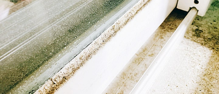 창문 실리콘 곰팡이1