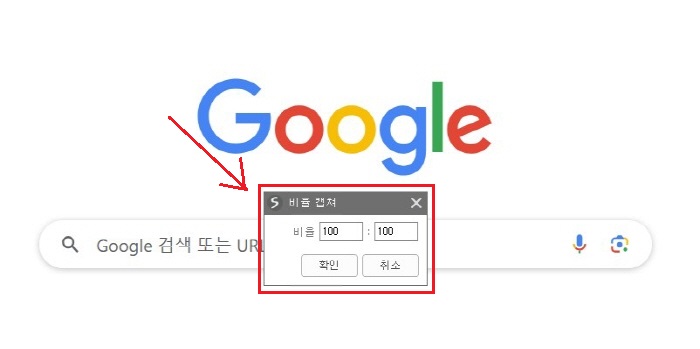 비율캡처