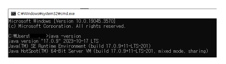 자바 버전 확인