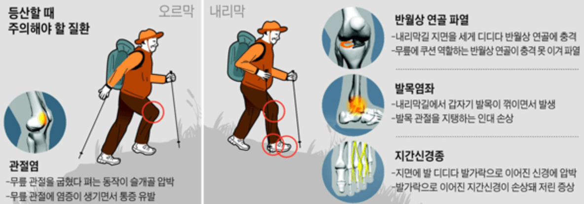 봄철 등산할 때 무릎 통증 줄이는 방법