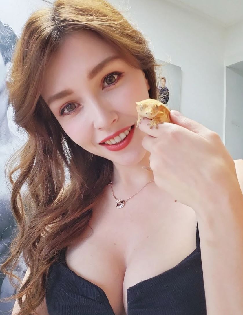 구미호