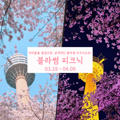 대구 이월드 벚꽃 축제