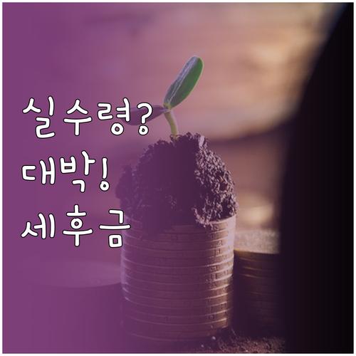 삼성전자 배당금 지급일과 세후 실수령..