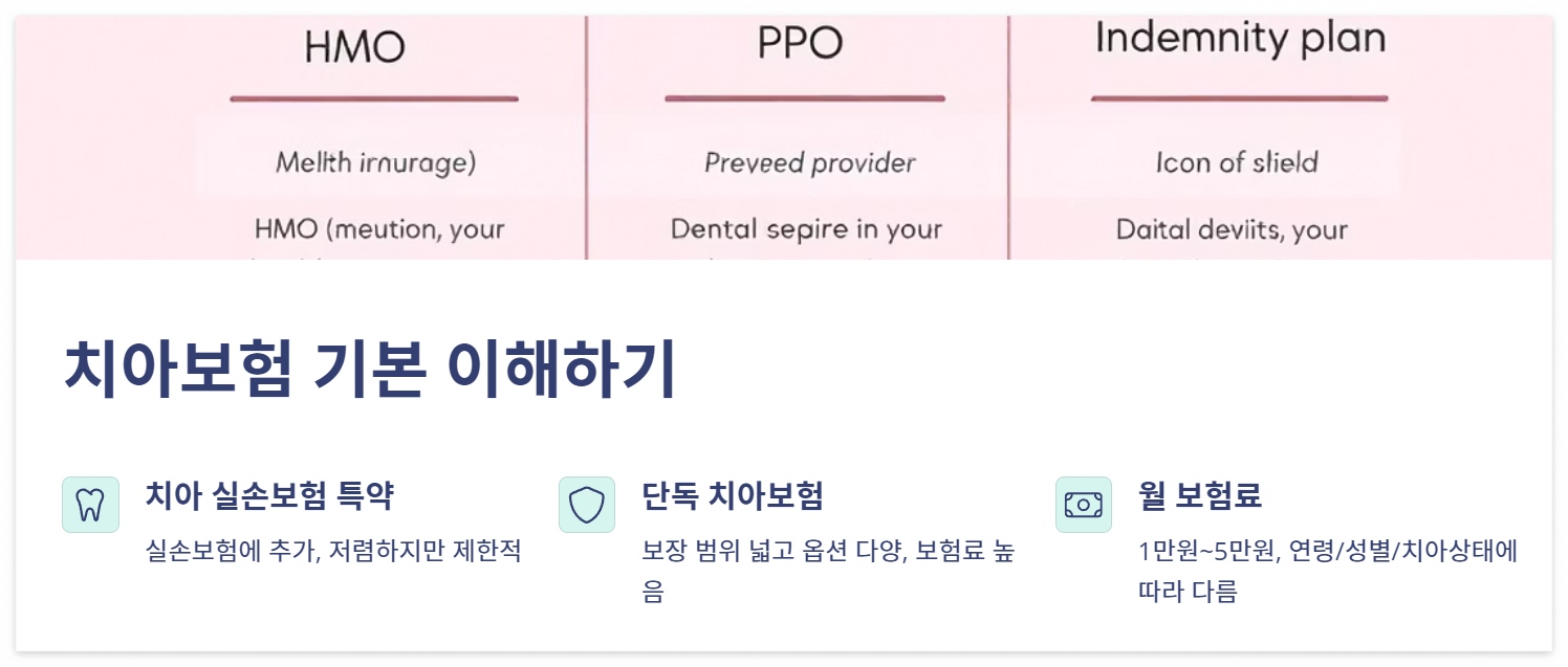 치아보험 완벽 가이드