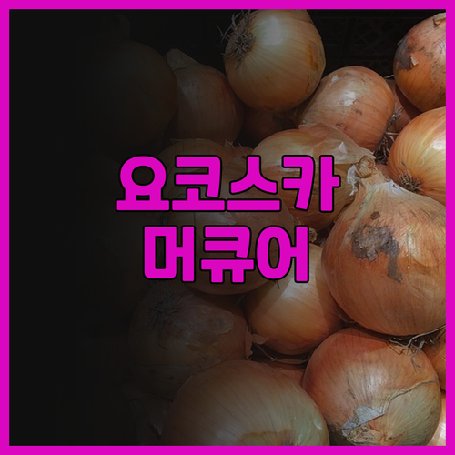 머큐어 호텔 요코스카 완벽 리뷰 친절