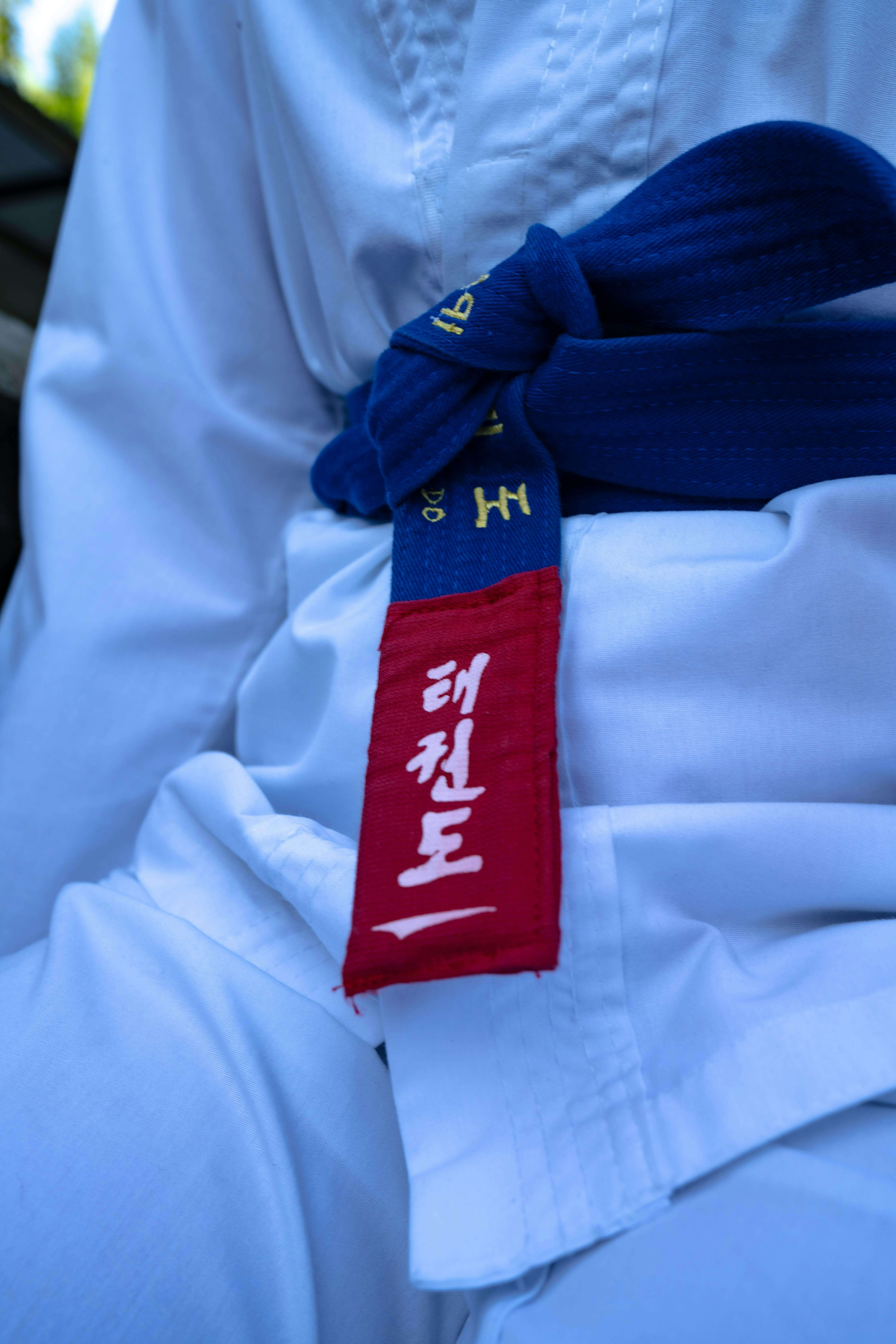 태권도 단증 확인 방법 완벽 정리 단수 조회부터 재발급까지